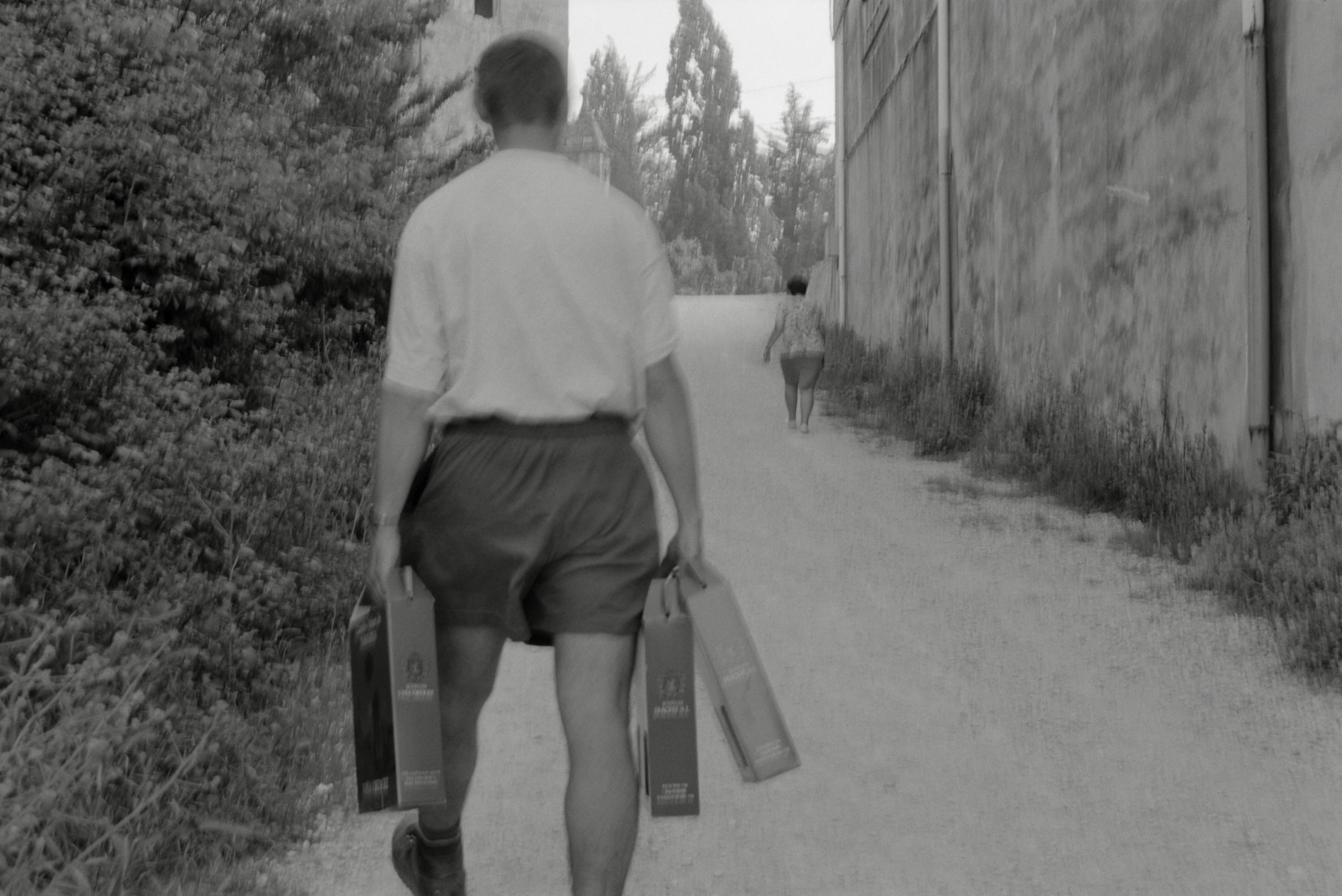 AHP F1995 05 007 sc240826 img21 NLP